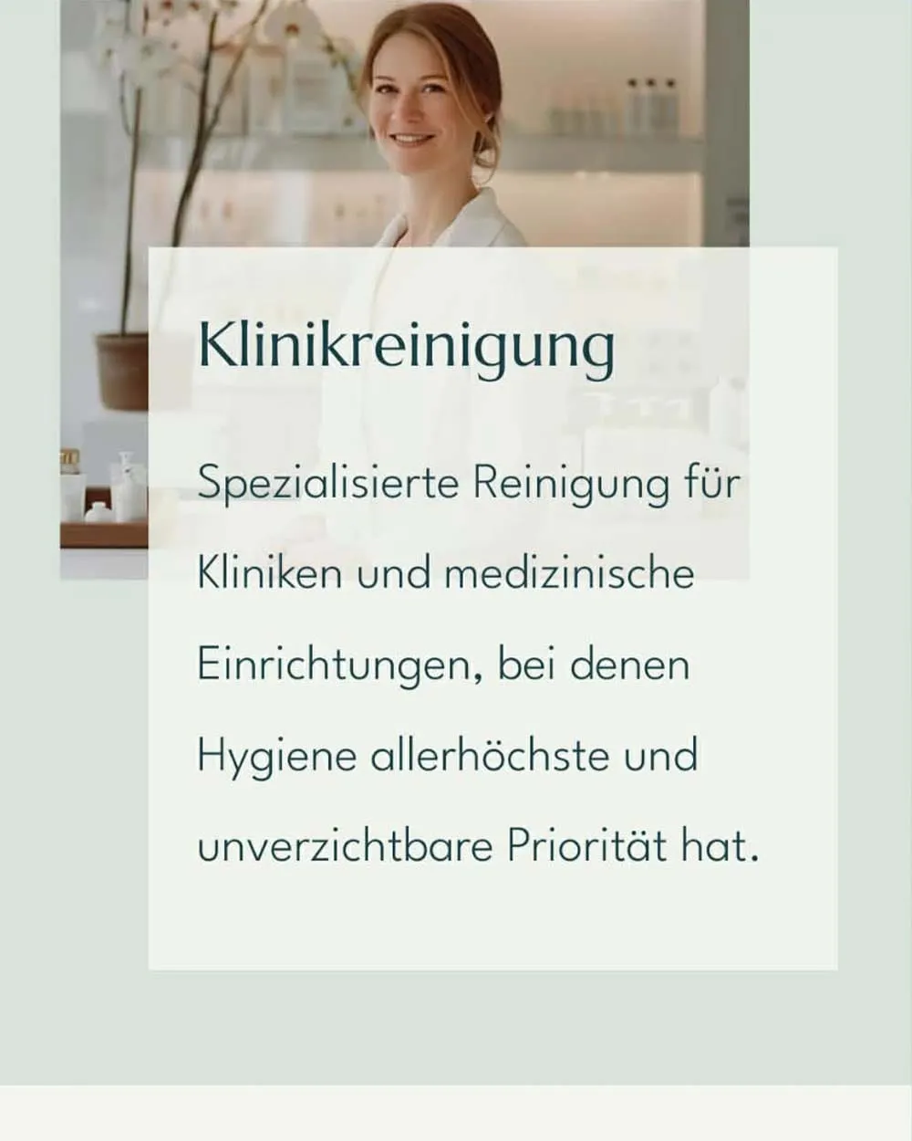 Vue du site Flowerclean : présentation de l’entreprise et de son activité.
